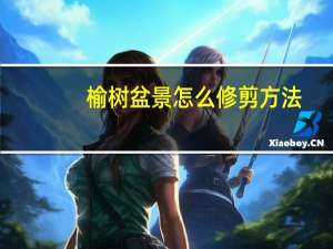 榆树盆景怎么修剪方法