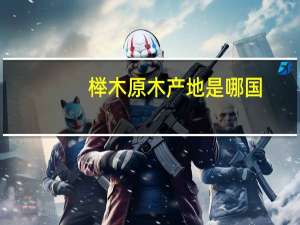 榉木原木产地是哪国