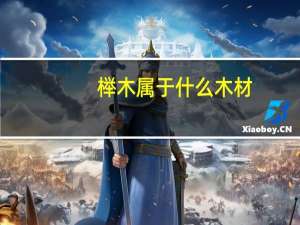 榉木属于什么木材