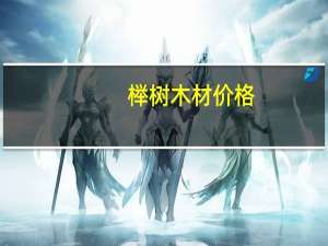 榉树木材价格