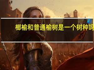 榔榆和普通榆树是一个树种吗（榔榆和榆树的区别）
