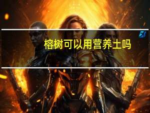 榕树可以用营养土吗