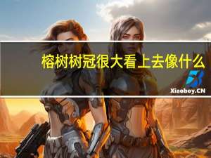 榕树树冠很大看上去像什么