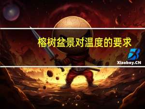 榕树盆景对温度的要求
