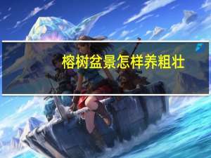 榕树盆景怎样养粗壮（榕树盆景怎么养粗壮）