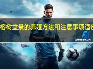 榕树盆景的养殖方法和注意事项适应温度（盆景榕树的养殖方法和注意事项是什么）