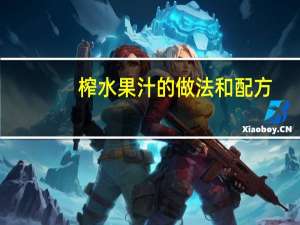 榨水果汁的做法和配方