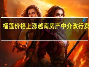 榴莲价格上涨越南房产中介改行卖榴莲