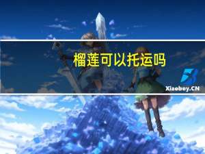 榴莲可以托运吗