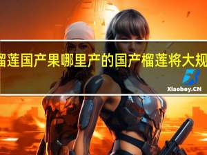 榴莲国产果哪里产的 国产榴莲将大规模上市