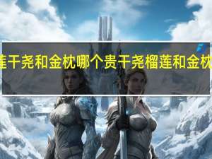 榴莲干尧和金枕哪个贵 干尧榴莲和金枕榴莲区别