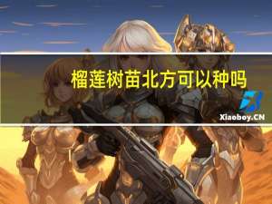 榴莲树苗北方可以种吗