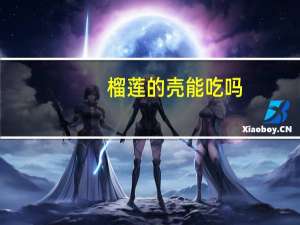 榴蓮的殼能吃嗎