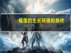 榴莲的生长环境和条件