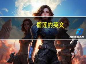 榴莲 的英文（ldquo 榴莲 rdquo 英文是什么）
