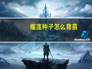 榴莲种子怎么育苗