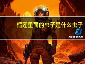 榴莲里面的虫子是什么虫子