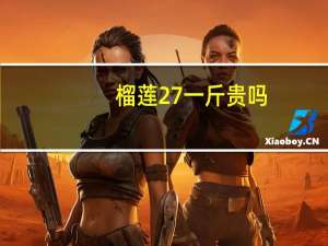 榴莲27一斤贵吗