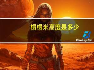 榻榻米高度是多少