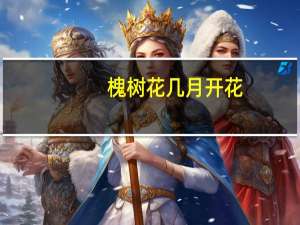 槐树花几月开花
