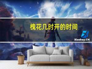 槐花几时开的时间