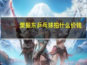 樊振东乒乓球拍什么价钱