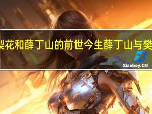 樊梨花和薛丁山的前世今生 薛丁山与樊梨花新版