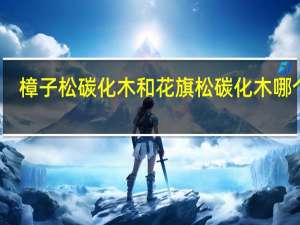 樟子松碳化木和花旗松碳化木哪个好