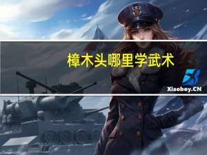 樟木头哪里学武术，散打最好