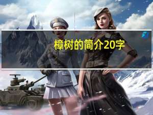 樟树的简介20字（樟树的简介）