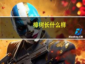 樟树长什么样