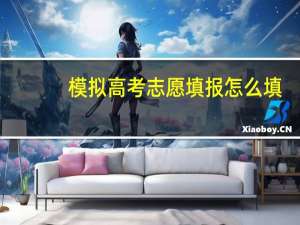模拟高考志愿填报怎么填