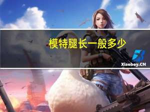 模特腿长一般多少