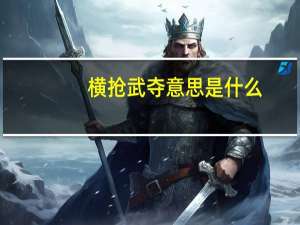 横抢武夺意思是什么