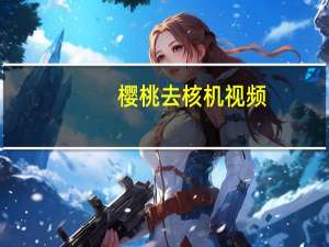 樱桃去核机视频（樱桃去核机）