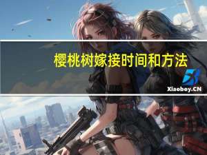 樱桃树嫁接时间和方法