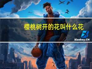樱桃树开的花叫什么花