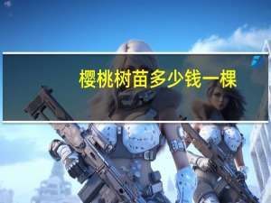 樱桃树苗多少钱一棵