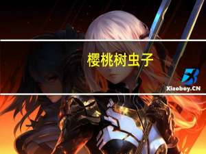樱桃树 虫子（樱桃虫子）