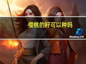 樱桃的籽可以种吗