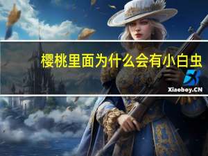 樱桃里面为什么会有小白虫