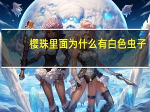 樱珠里面为什么有白色虫子