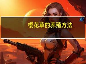 樱花草的养殖方法
