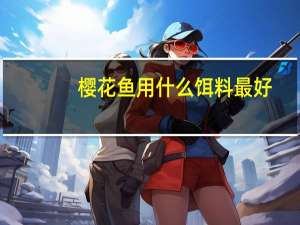 樱花鱼用什么饵料最好（樱花鱼）