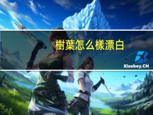 樹葉怎么樣漂白
