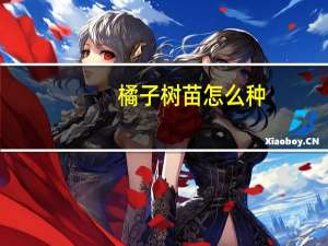 橘子树苗怎么种