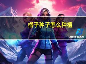 橘子种子怎么种植