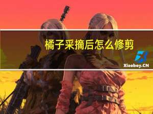 橘子采摘后怎么修剪