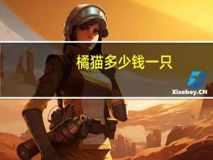 橘猫多少钱一只