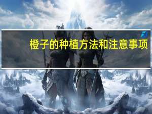 橙子的种植方法和注意事项
